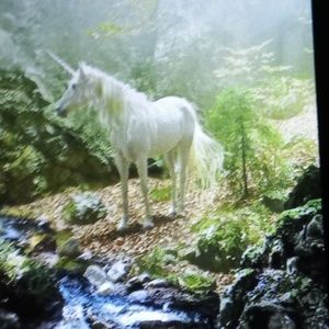 Meet your Posher, Johnny